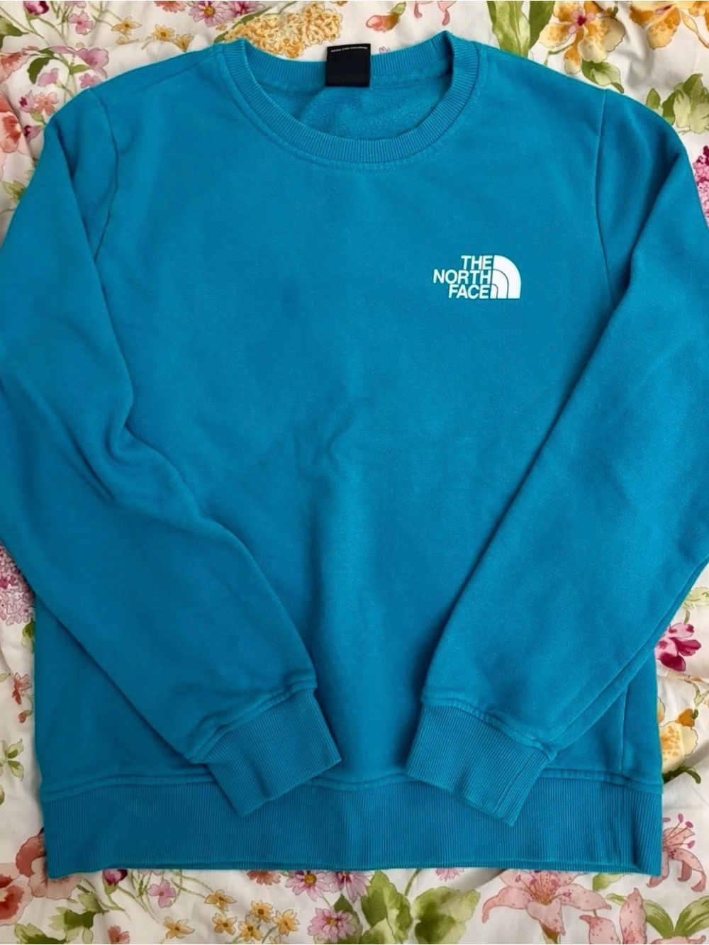 The North Face Parks Crewneck Mountain Nature Graphic Back Sweatshirt Sweater
